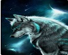 CAE Wolf at Night