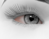 0AY3 Eye V1