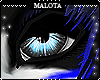 M; Natio Eyes