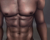 金 Hudson T4 - Skin