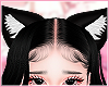 Cat ears black