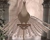 Winter Peacock
