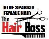 BLUE/SPARKLE Bosse$Inc.