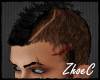 ~ZC~Scar Head Hair