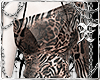 ˣ Animal Print Top