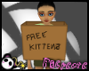 *PBC* Free Kitten Box