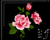 Pink Roses Fillers