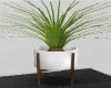 (T) Plant I Desing