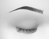 Eyebrows