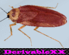 Animated cockroach