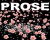Pink Roses and Stars