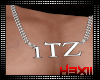 1TZ Fam Necklace (M)