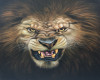 Lion Art