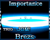 ☠ Importance BOOM