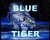 LG*Blue Tiger Club*