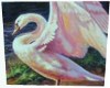 Art Swan Raised Wings