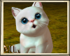 ML White Kitten