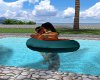 Private Float Kiss