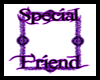 SPECIAL FRIENDS BORDER