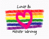Love is Never Wrong shir