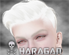 Kann Albino