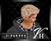 VH|Smart Hollister Hoody