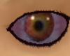 [SaT]IT eyes