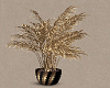 Potted Palm Plant