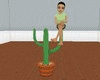 cactus sitting 3 places
