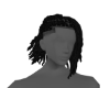 z. 野生