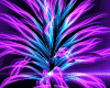 J~ Club Plant