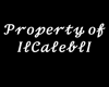 Property of Caleb