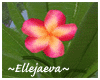 Tropical Plumeria Tree