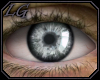 [LG] Silver Eyes