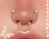 DRV. Nose Piercings F
