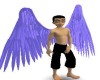Blue Angel Wings, male