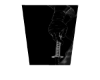 SWORD