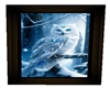 Framed White owl 6