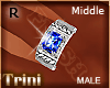  Sapphire Ring R
