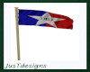 San Antonio Flag