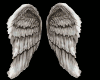 [ML]Wings n Sparkles