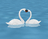 Mystical Swans Of Love