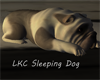 LKC Sleeping Dog