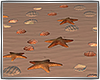*TJ* Lost Island Shells