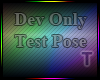 [T] Dev Only Test Pose