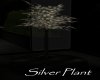AV Silver Plant
