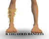 R Leg Gold Bangles