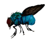 The Fly  blue