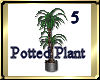 [my]Potted Plant 5