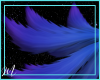 M! Galassia | Tail